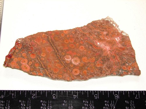 Excellent poppy jasper - jasper,