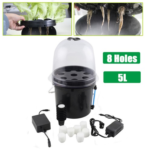Hydroponics growing cloning - hydroponics,