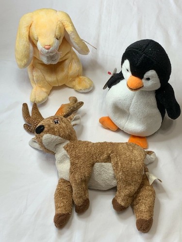 Beanie babies roxie - ty,