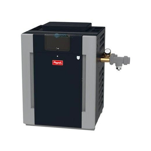 Raypak r206a 57 pool - c-r206a-ep-c,