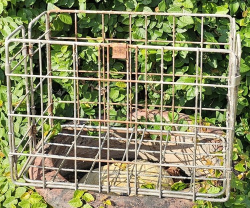 Vintage metal milk crate rare - vintage,