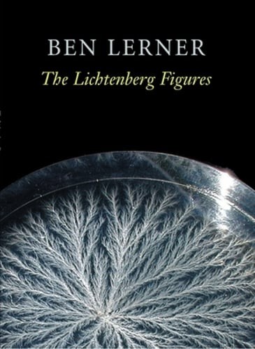 The lichtenberg figures dr - the,