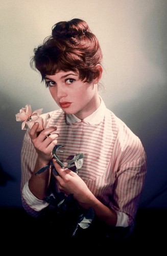 Hollywood celebrity art photo - art,