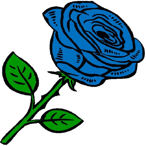 Custom little blue rose - 30, bud