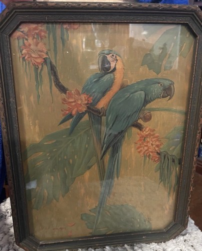 Antique parrots macaw - antique,