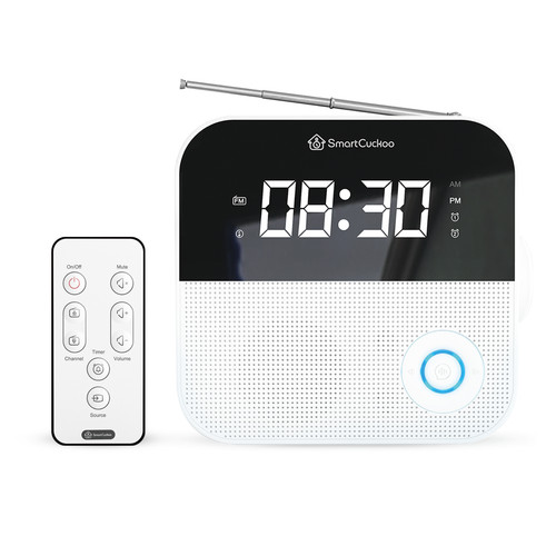 Alarm clock radio voice - wi-fi,