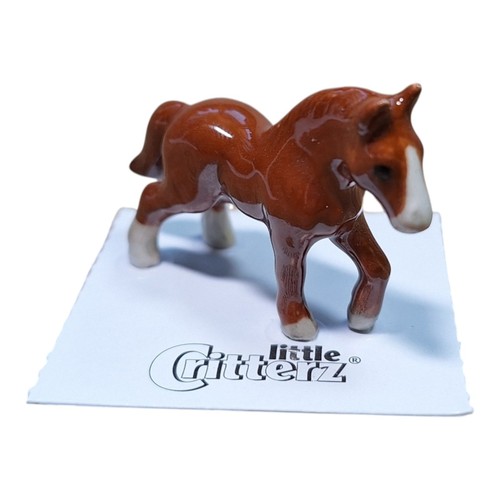 Little critterz thoroughbred - little,