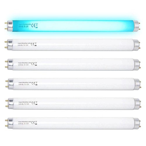 Pack t8f10w 10w - 6,