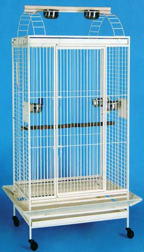 Large elegant play top perch - elegant,