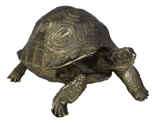 Marine reptile lifelike - marine,