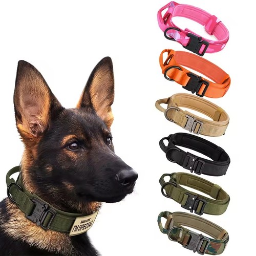 Dog training collar - collar, adjustable