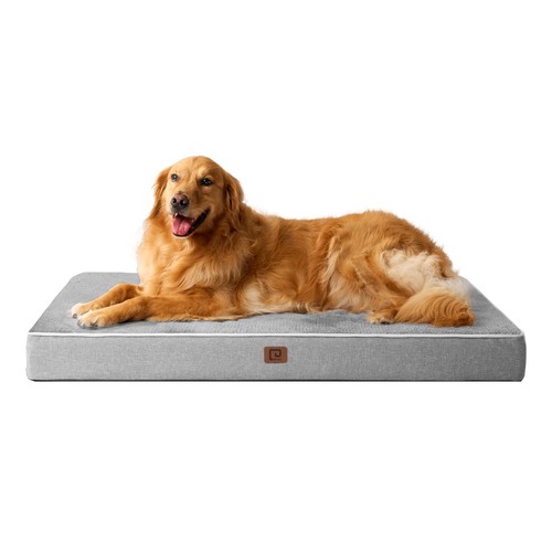 Eheyciga memory foam - eheyciga, dog