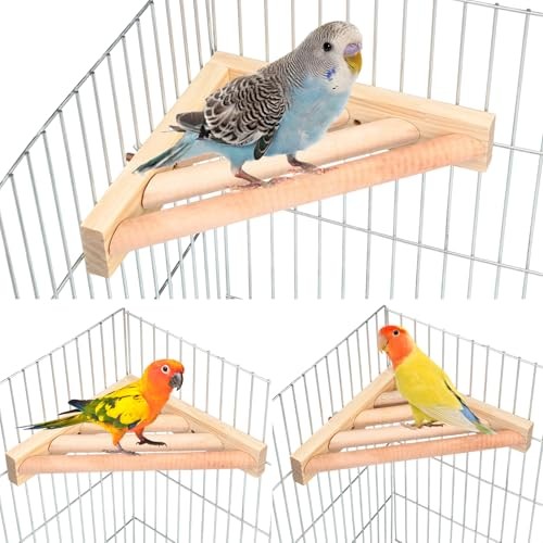 Pcs bird perch - bird,