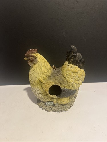 Beautiful chicken bird - beautiful,
