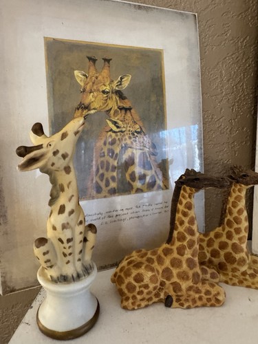 Lot giraffe love - of,