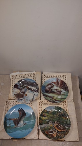 Edwin knowles china - china, company