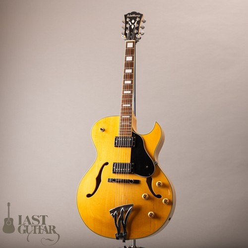 Washburn j3na o14934 - washburn,