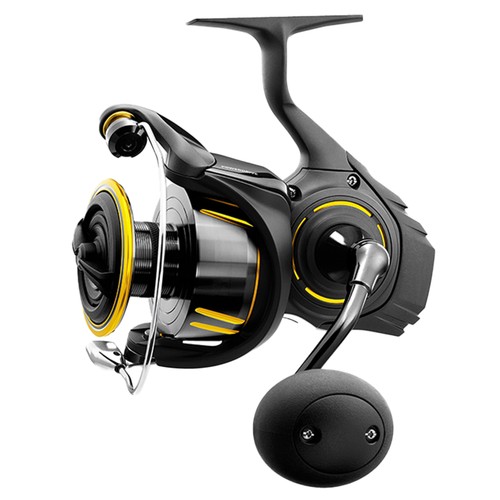 Daiwa spinning reels - sw,