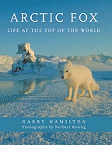 Arctic fox life the top - top, of