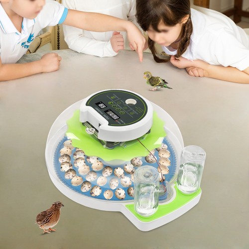 Modern led quail egg incubator - led,