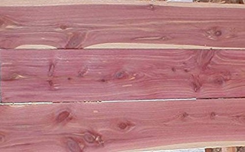 Aromatic red cedar - x,