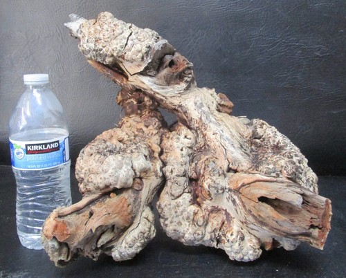 Manzanita burl wood d216 - wood,