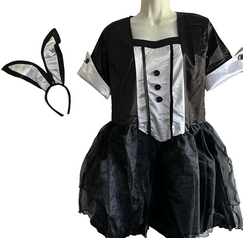 Anime maid dress large - anime,