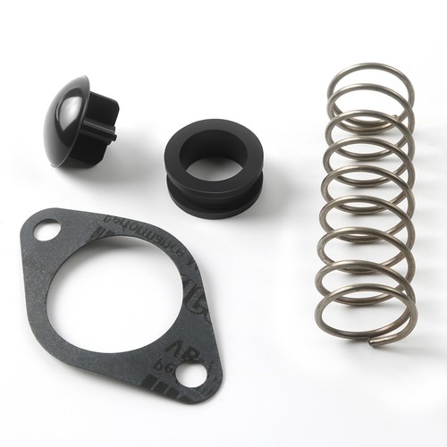Poppet valve repair kit for - repair,