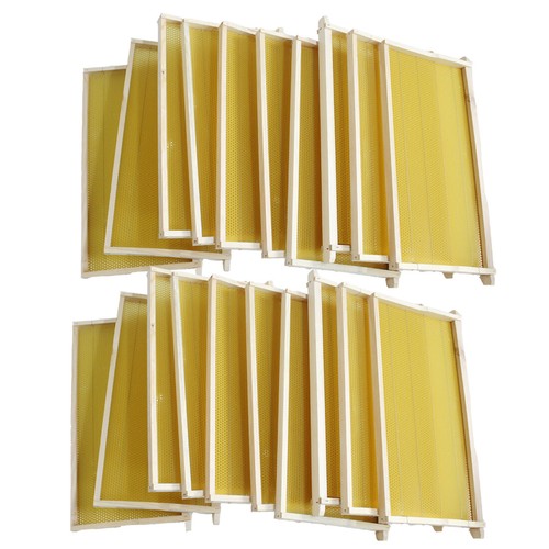 Assembled bee foundation - assembled, 20
