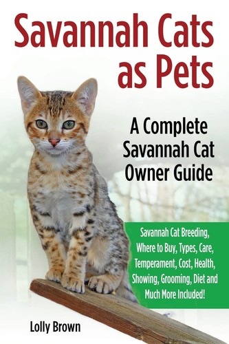 Savannah cats pets - savannah,