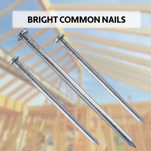 Bright common nails - (framing),