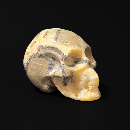 Carved septarian stone skull - septarian,