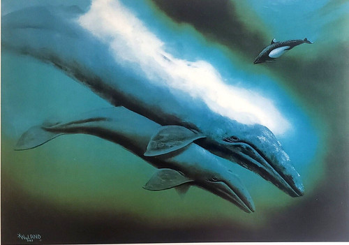 Wyland 1988 california grey - wyland,