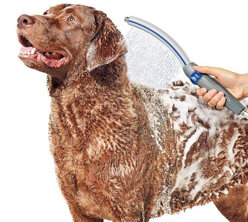 Dog shower sprayer attachment - dog,