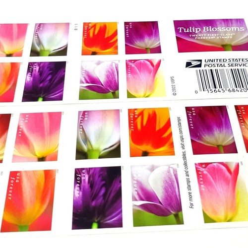 2023tulip blossoms forever - 2023tulip,