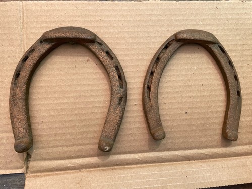 Vintage old rusty lucky horse - rusty,