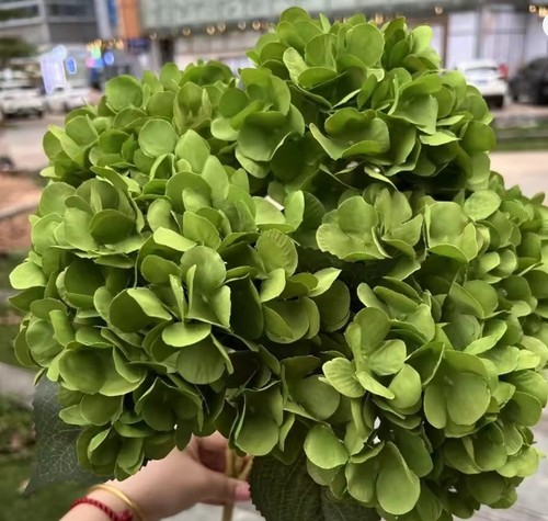 Heads artificial hydrangea - **5,