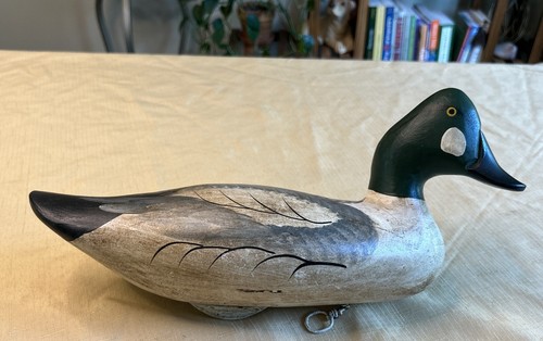 Joey jobes golden eye duck - jobes,