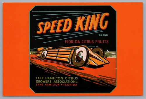 Continental speed king florida - speed,