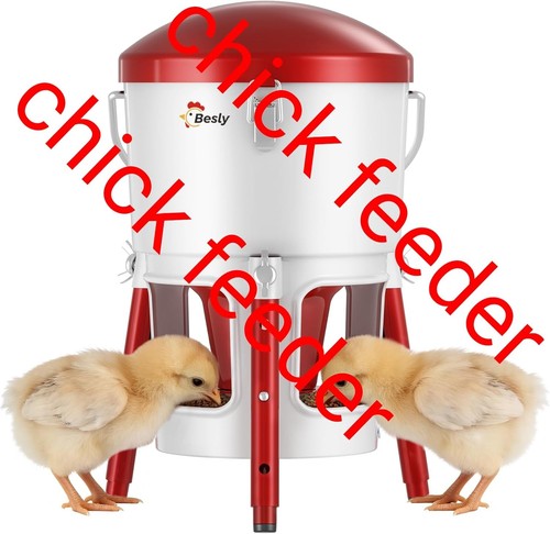 Chicken feeder