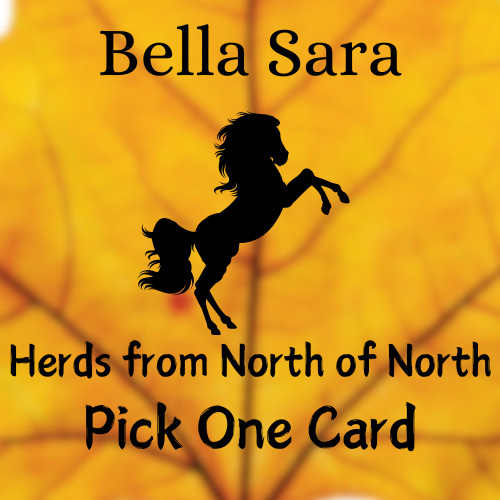 Bella sara herds from north - sara, of