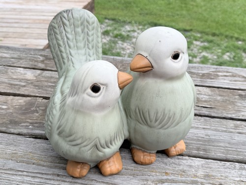 Pier celadon lovebirds - celadon,