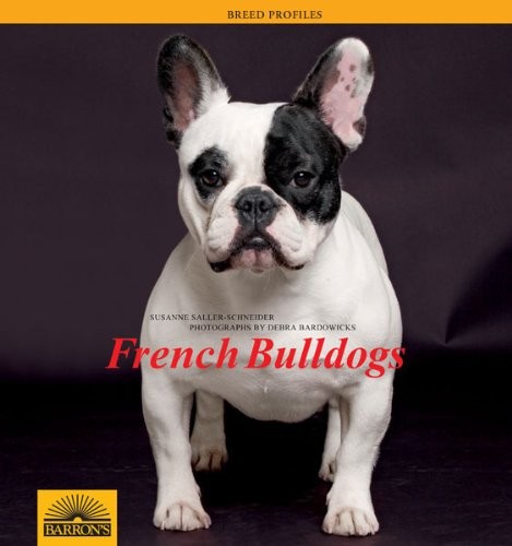 French bulldogs breed profile - (breed,