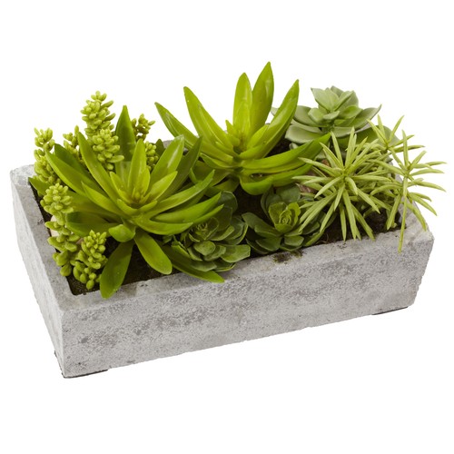 Nearly natural succulent - natural,