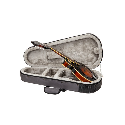 Crossrock mandolin foam case - mandolin,