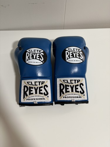 Cleto reyes fight - fight, 8