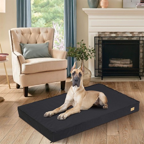 Jumbo large orthopedic dog bed - large,