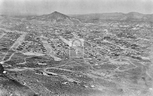 Birds eye view goldfield - eye,