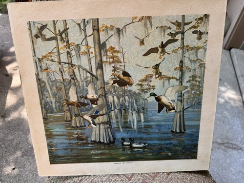 Vintage richard bishop - richard,
