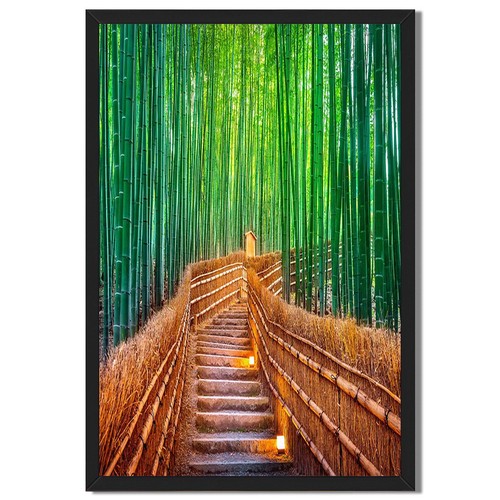 Green bamboo forest - bamboo, framed